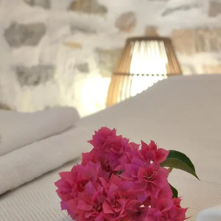 Zephir Vue Detente Et Bons Moments A Syros